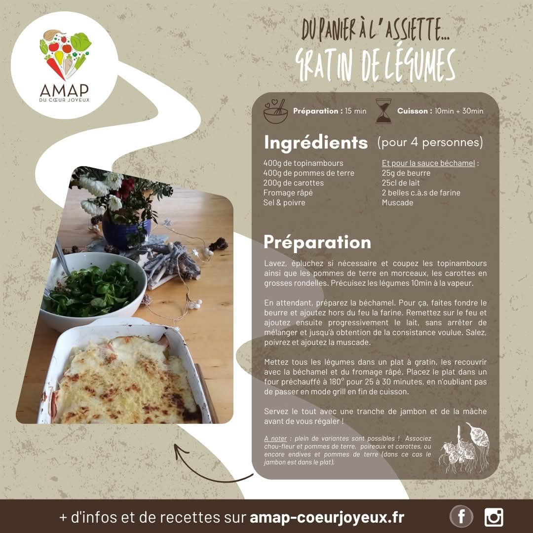 Gratin de légumes