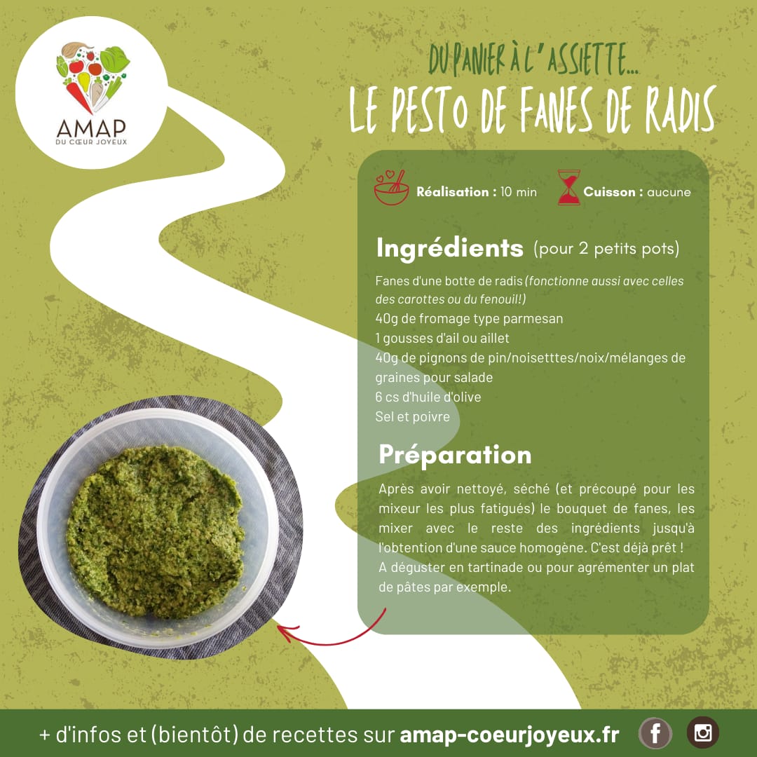 Pesto de fanes de radis
